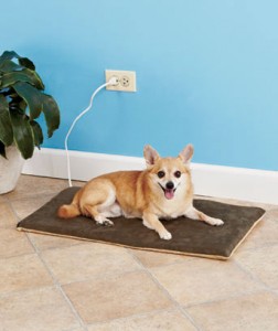 electric pet mat