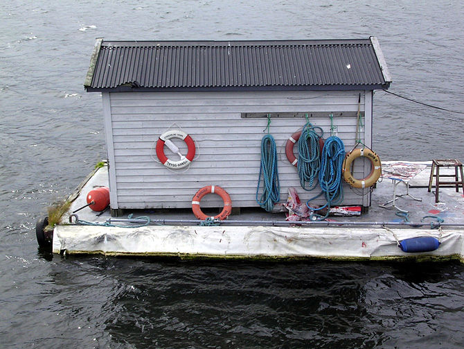 Shed-on-water