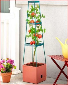grow-tower