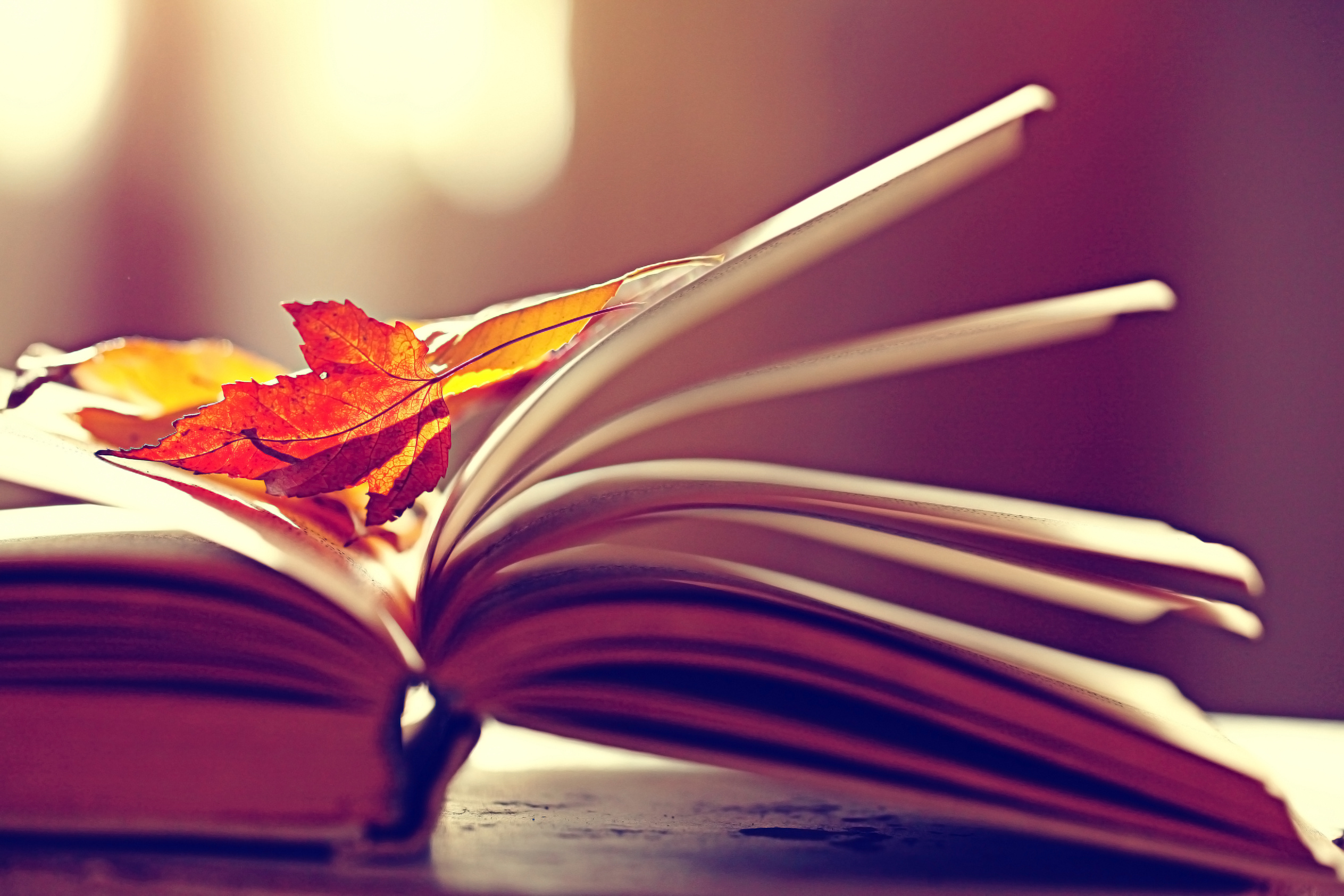 book-pages-with-autumn-leaves-as-bookmarks