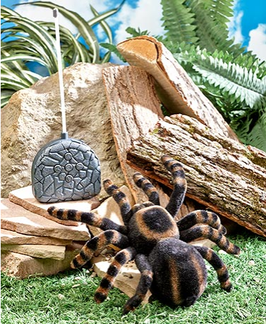 radio-control-tarantula