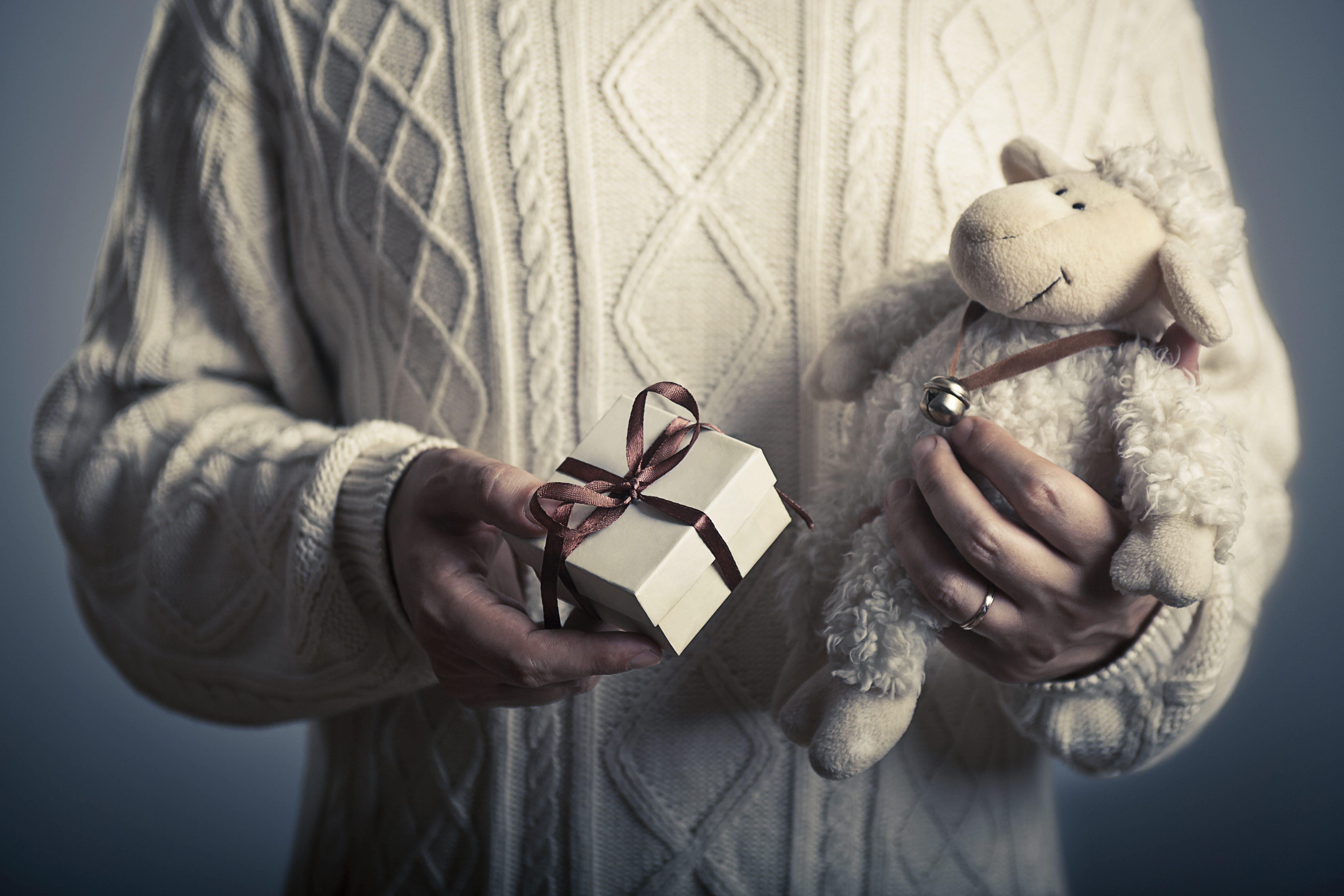 Christmas-gift-man-holding-box-with-stuffed-animal
