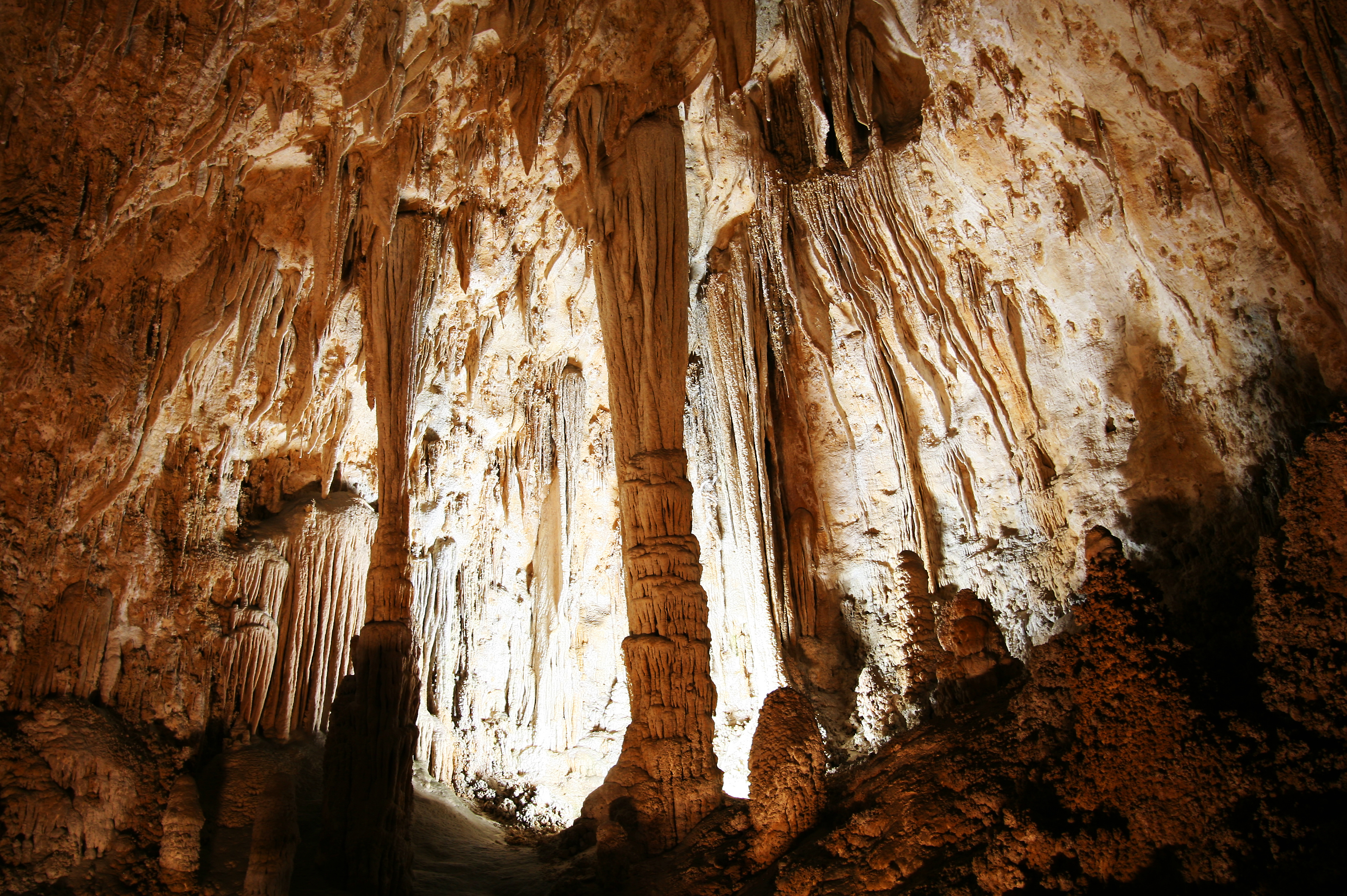 Carlsbad Cavern National Park in New Mexico - National Parks to Visit in Spring