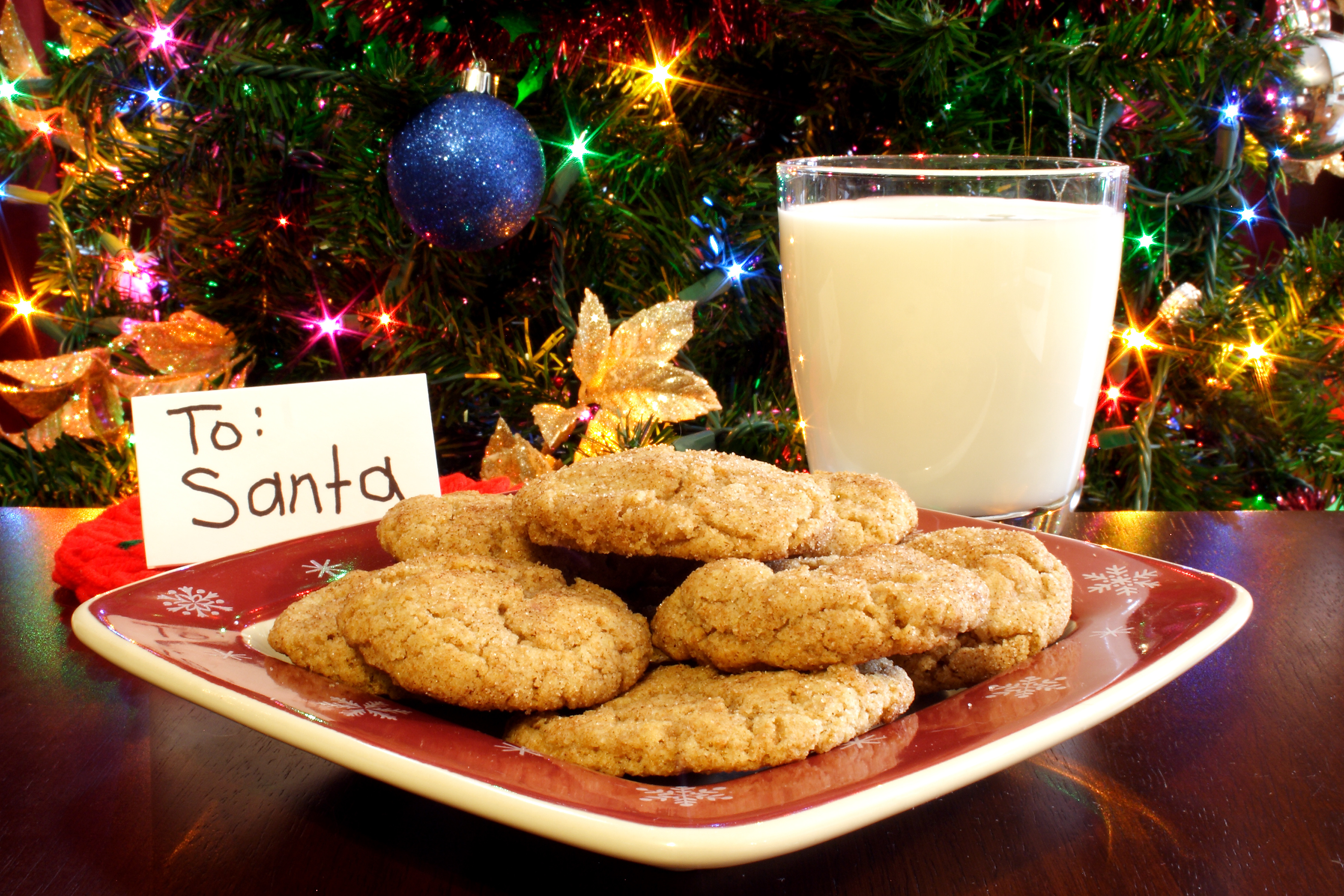 milk-and-cookies-for-Santa
