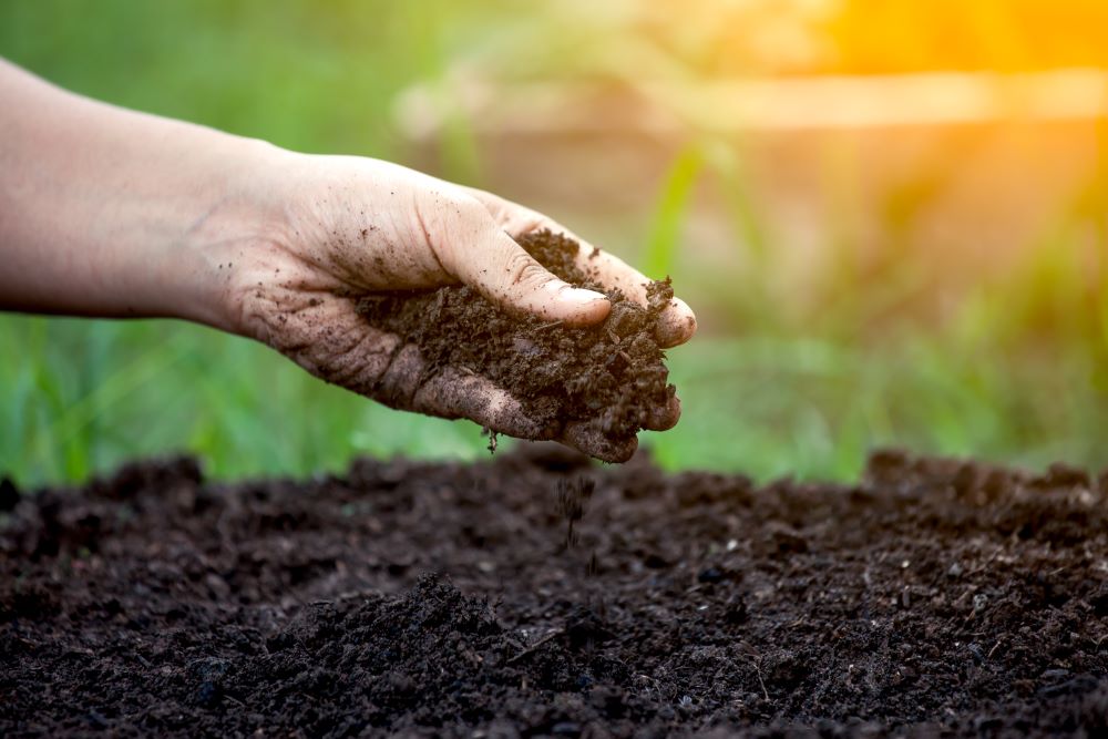 Prepare Your Soil For Your Spring Garden
