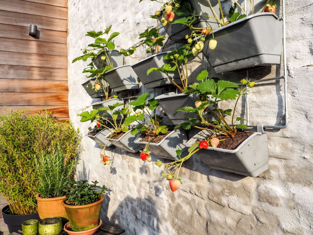 Small Patio Decorating Ideas - use vertical planters